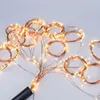 8 Mode Waterfall Fairy Lights 15/20/30 Strands Bunch String lights Plug in Firefly Garland for Wedding Plants Tree Party Decor ► Photo 3/6