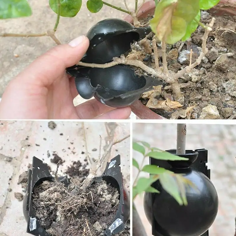Details about   9pcs Plant Rooting Device High Pressure Propagation Ball Box Growing Grafting 