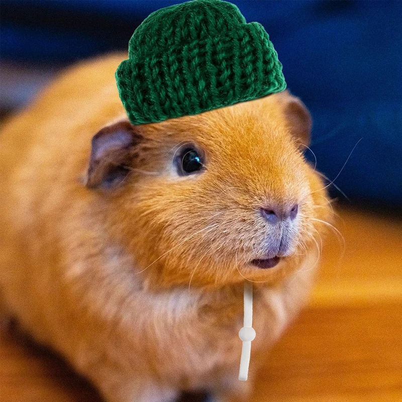 

2pcs 15Colors Hand-woven Open Ear Warm Hamster Hat Guinea Pig Rats Sugar Glider Chinchilla Ferret Hedgehogs Small Pet Cap