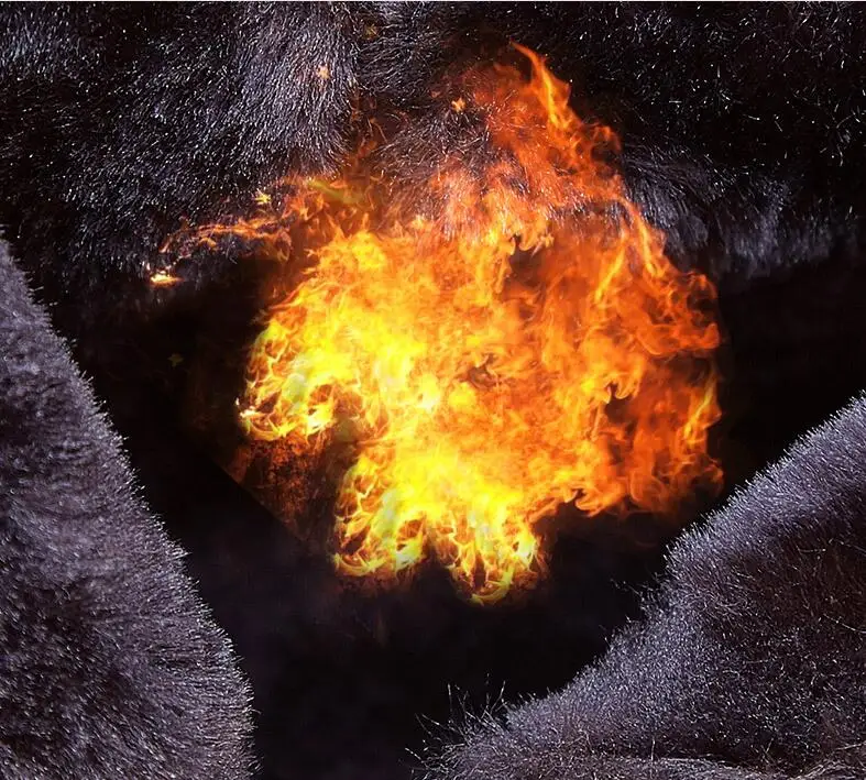 QQ截图20191016151816