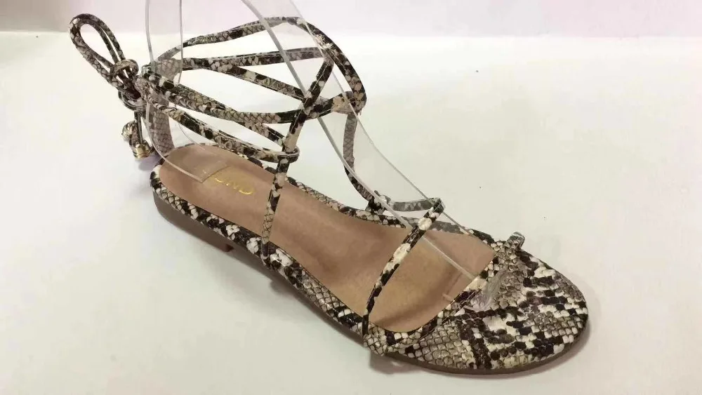 12825595013_1767743546