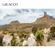 

Laeacco Desert Cactus Shrub Hillside Natural View Scenic Photographic Background Photography Backdrop Photocall Photo Studio