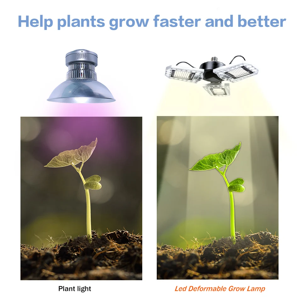 变形金刚-植物灯-A-款-100-200-300-自然白--蓝白---改01--_10