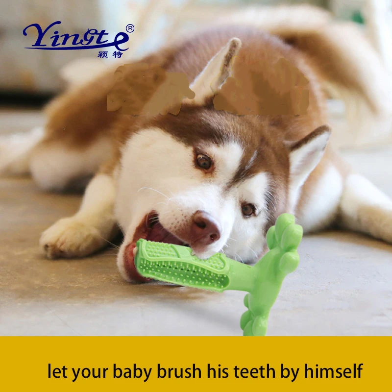 Pet Dog Cat Toothbrush Chew Toy Doggy Brush Stick Soft Rubber Teeth Cleaning Dot Massage Toothpaste for Puppy Kitten Pets Suppy