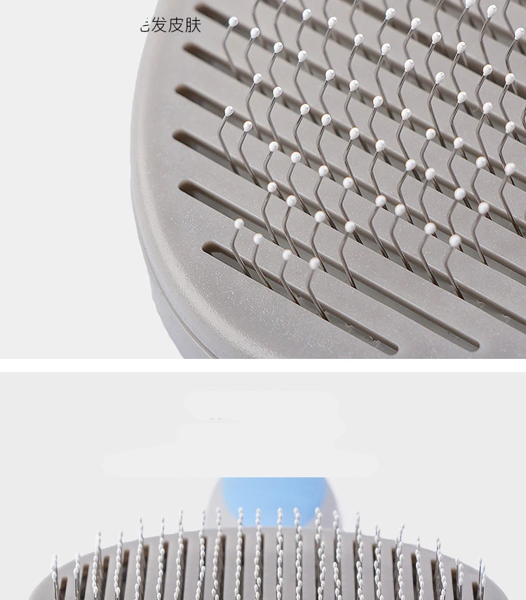 10903870870_463075732