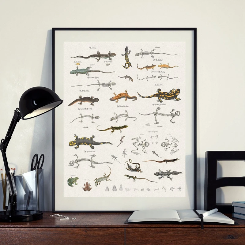 Lizard chart canvas prints office decor