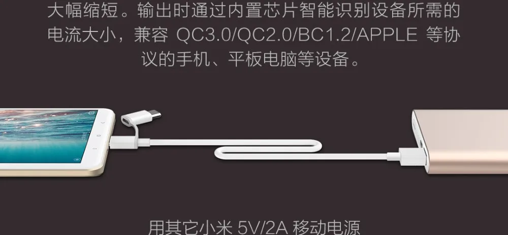 10000mAh High Version Xiaomi Mi Power Bank 2  (6)
