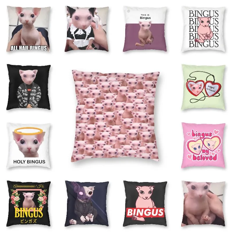 Fashion All Hail Bingus Square Throw Pillow Case Decoration 3d Double