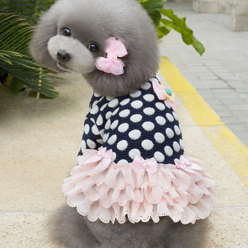 3515743426_520981800