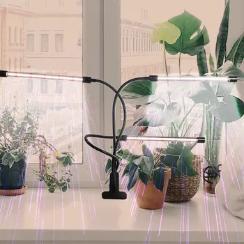 

3 Heads Adjustable Gooseneck Succulents With Timer Dimmable Indoor Full USB Power LED Grow Light For Plants Seedlings