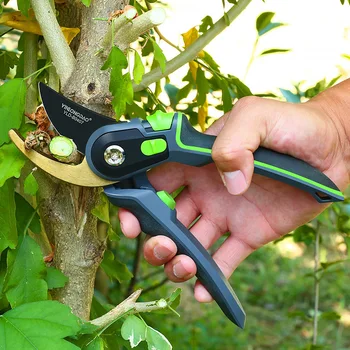 

Germany Cut Flowers Garden Gardening Fruit Tree Pruning Scissors