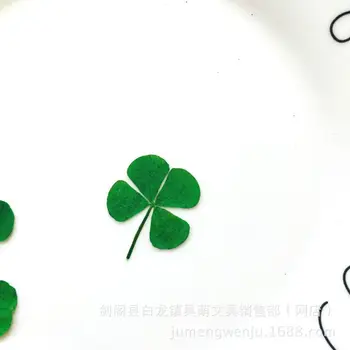 

10Pcs Dried Leaf Clover UV Resin Decor Nail Art Epoxy Mold DIY Filling Jewelry R9JE