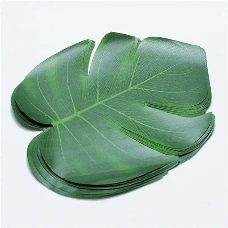 11284573335_1234669197