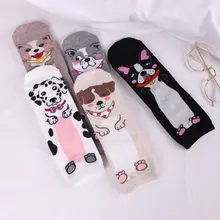 5 пар, женские осенние хлопковые носки, Забавные милые 3D мультяшный щенок, чулочно-носочные изделия