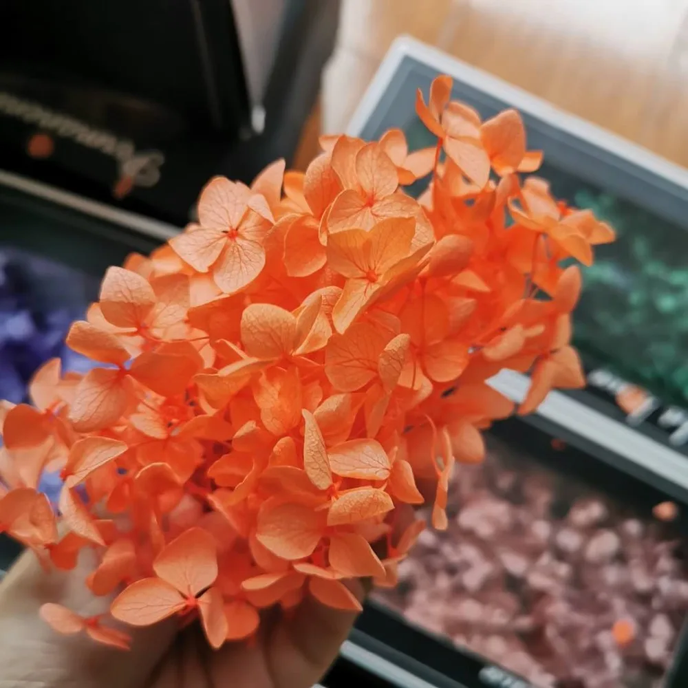 66f5c7792577c273cb818c1e9a1df64