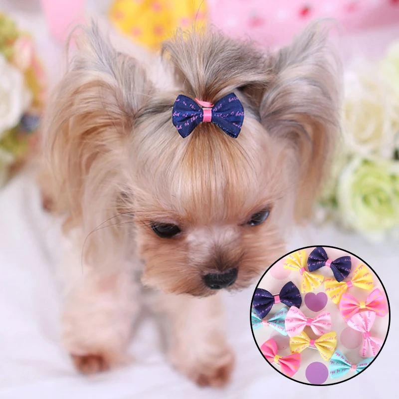 dog hair accessories