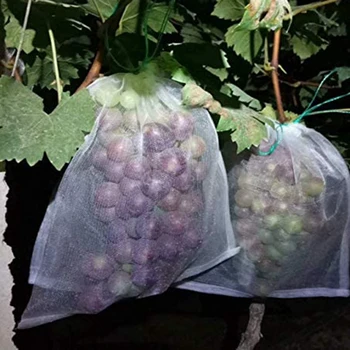 

LBER 100pcs Bags Fruit Protection Bags Reusable Produce Bags - Mesh Garden, Perfect for Most Fruits 12 Inches x 8 Inches