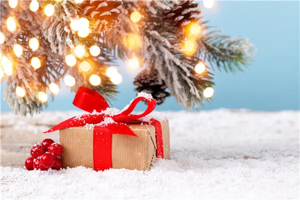

SHUOZHIKE Vinyl Custom Photography Prop Christmas day theme Photo Studio Background Background K91106-16