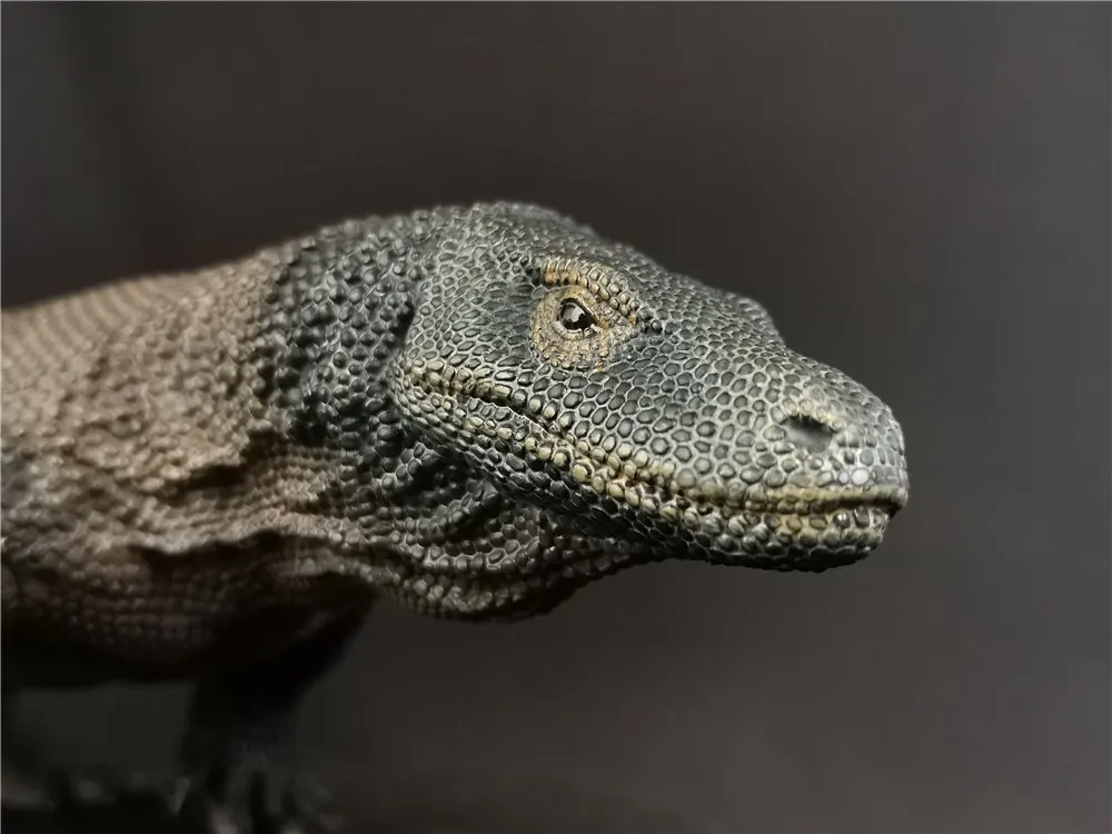 REBOR 1/6 Komodo модель дракона 19 6 &quot50 см фигурки животных коллектор детская игрушка
