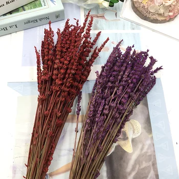 

Preserved Fresh Flower Lavender 3 PCs Preserved Fresh Flower DIY Material Glass Cover Flower Box Accessories Mini