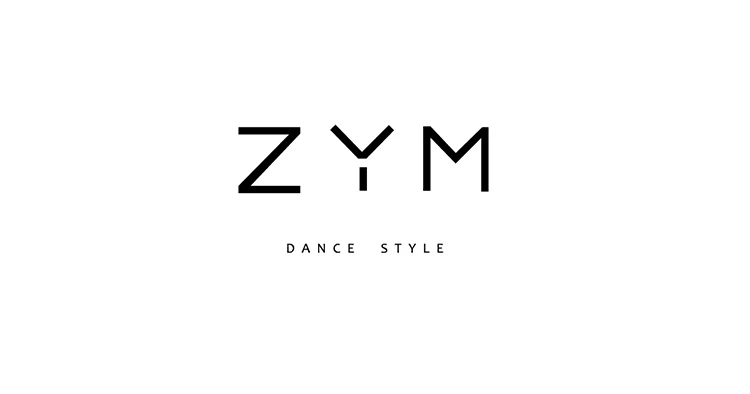 ZYMdancestyle платье коричневого цвета#1974H женская одежда для латинских танцев одежда с длинными рукавами с v-образным вырезом прозрачная бахрома на шнуровке двухслойная