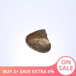 DAIMI маленькие мишени DIY Wish Pearl Oyster около 40*40 мм мишени Ювелирные изделия Подарки