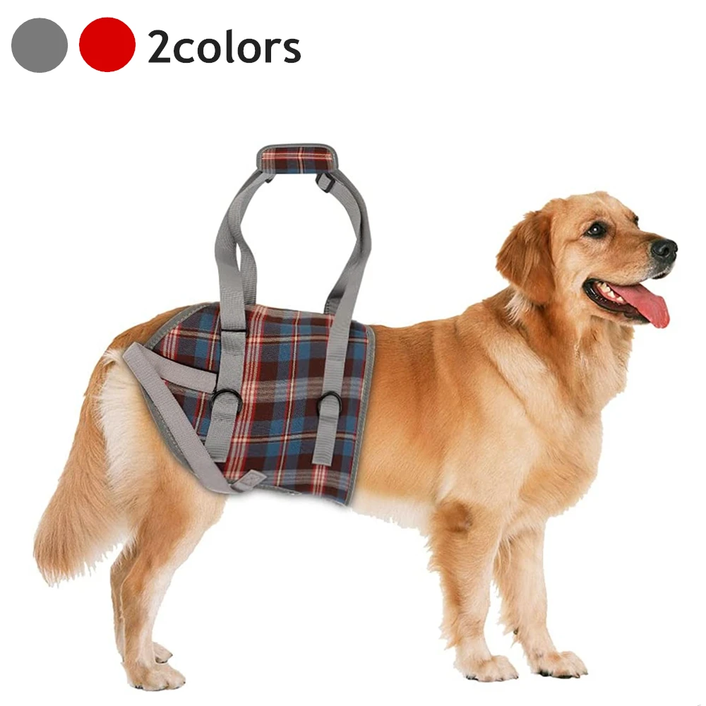 Harnas voor honden met stippen Martin Sellier XS MARTIN SELLIER