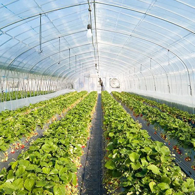 2M Wide Agricultural Greenhouse Film Keep Warm Shade Rain-Proof Garden Film Outdoor Flower Plant Covers PE Plastic