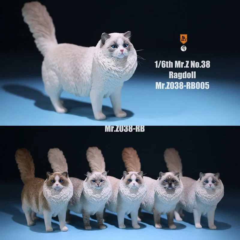 

Mr.z 038 1/6 Scale Ragdoll Pet Cat Simulation Animal Model Toy Cute Ornaments For 12" Action Figure Scene Display