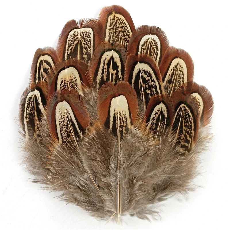 Pheasant Feathers 20Pcs/Lot Colorful Pheasant Feathers 3-7cm for Crafts Jewelry Creation Handicraft Accessories