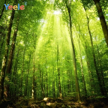 

Spring Summer Forest Green Tree Baby Portrait Nature Scenery Vinyl Backdrop Photography Background For Photo Studio Photophone