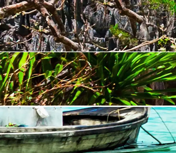 360截图20200419143659660