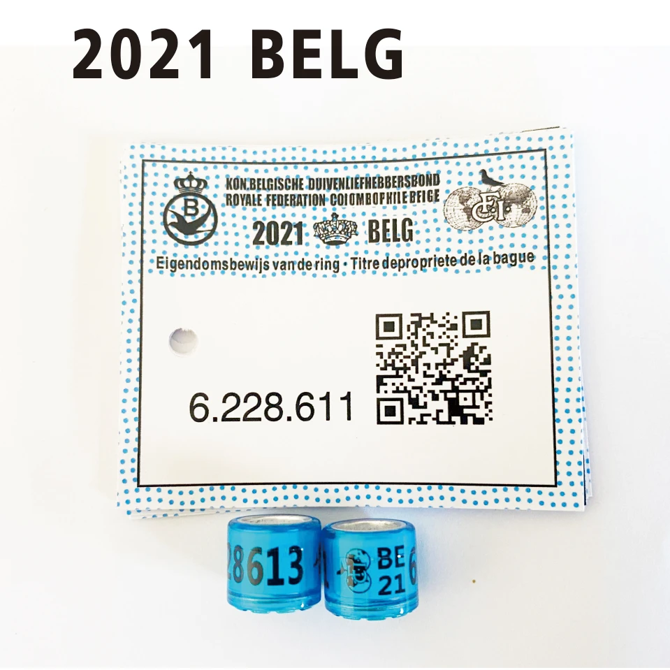 Anillo de pie de Paloma 2021 BELG, con tarjetas, pájaro, 8mm, tamaño interior, 50 Uds.