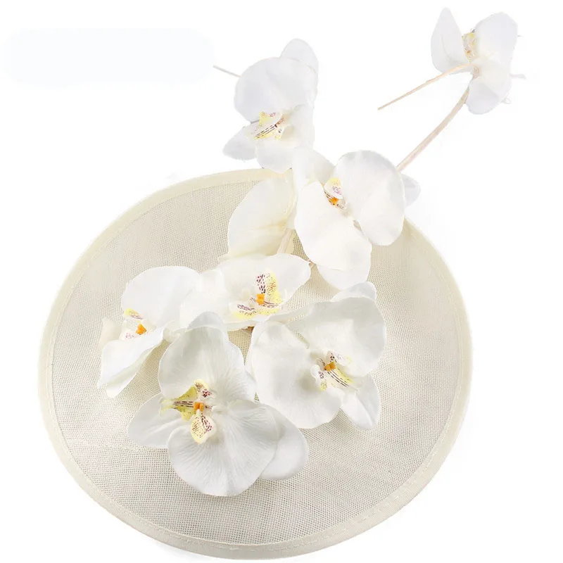 12299221273_433374832