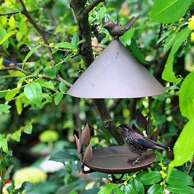 Mangeoire à Oiseaux Suspendue en Métal d'Extérieur