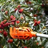 High-altitude fruit picker Head Without Pole Metal/Plastic Fruit Collector Harvest Picking Apple Citrus Pear Garden Hand tools ► Photo 2/6