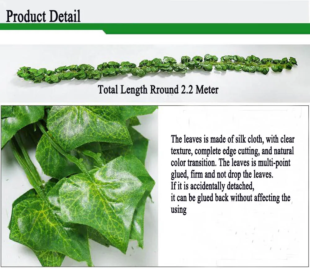 Grape Leaves 002
