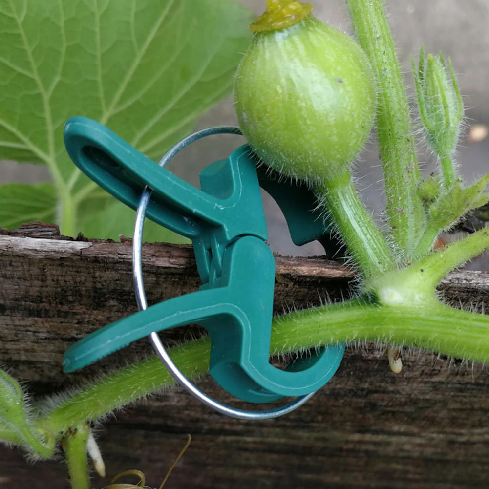 

20pcs Plant Clips Gardening Support Stems Stalks Flower Grow Lever Loop Gripper Tool For Vine Vegetables Tomatoes