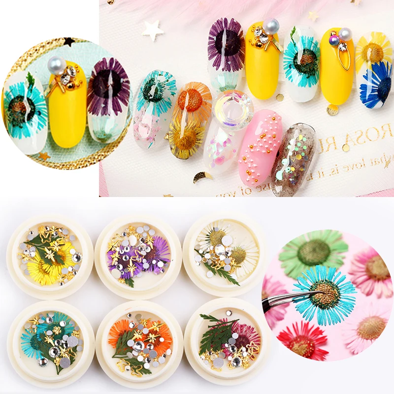 

3D Dried Flowers Hydrangea Daisy Mixed Nail Drills Rhinestone Colorful Nail Art 3D Decorations DIY For Gel Polish 1 Box