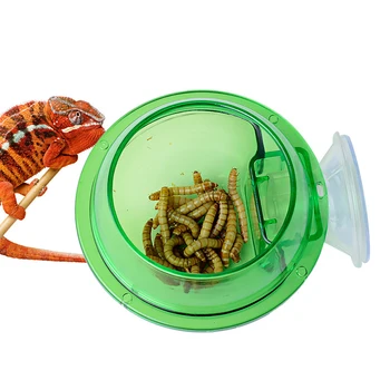 

Chameleon Feeder Anti-escape Transparent Design Strong Adsorption Removable Arboreal Reptile Supplies