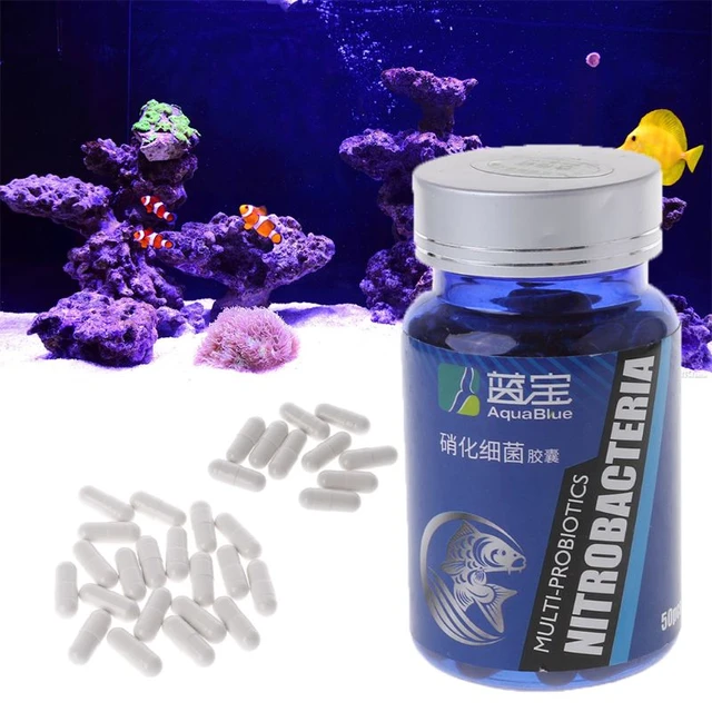 Bacterias nitrificantes para acuario de agua dulce y Marina, 10-50  unidades, T8WE - AliExpress