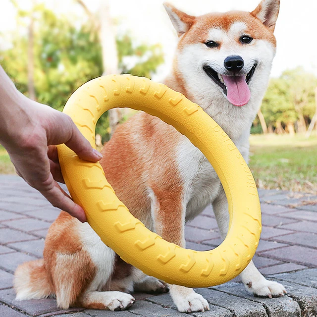 Dog Toys Large Dogs Interactive Training  Dog Toys Interactive Small Dogs  - Dog Toys - Aliexpress