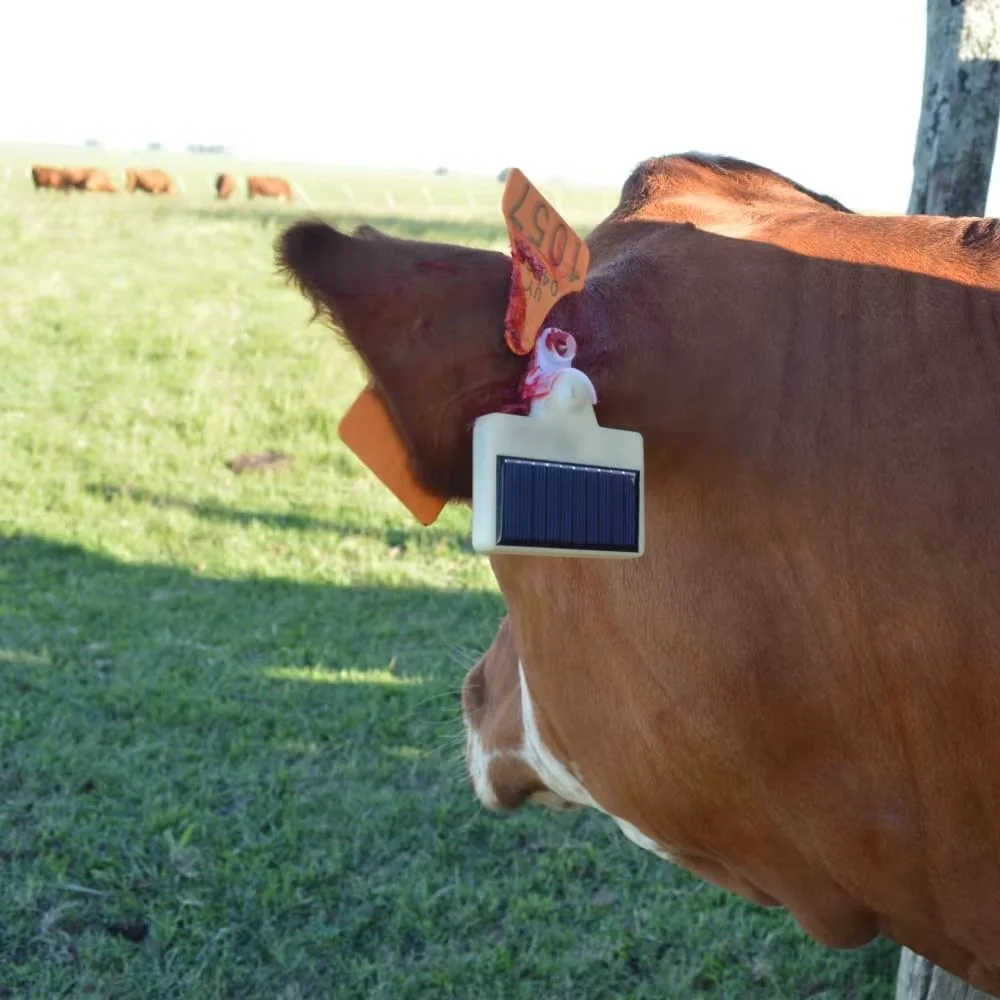 Solar Power GPS tracking device Animal Eartag Tracker TBT300
