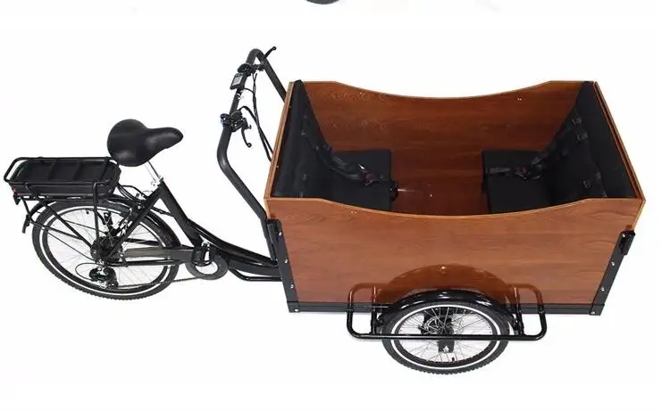 Промо-акция! по морю CFR дизайн три колеса электрический пищевой велосипед трехколесная тележка Литиевая батарея два колеса грузовой велосипед - Цвет: electric version