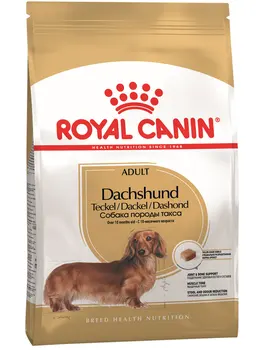 

ROYAL CANIN ROYAL CANIN DACHSHUND ADULT for adult dogs dachshund