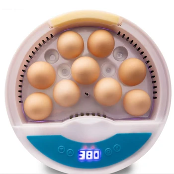 

Mini 9 Egg Incubator Farm Hatching Digital Temperature Humidity Automatic Control Brooder Poultry Quail Chicken Duck Bird LED
