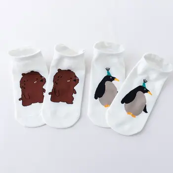 

5 Pair Women Men Short Cotton Socks Cartoon Whale Penguin Bear Couple Ankle Sock