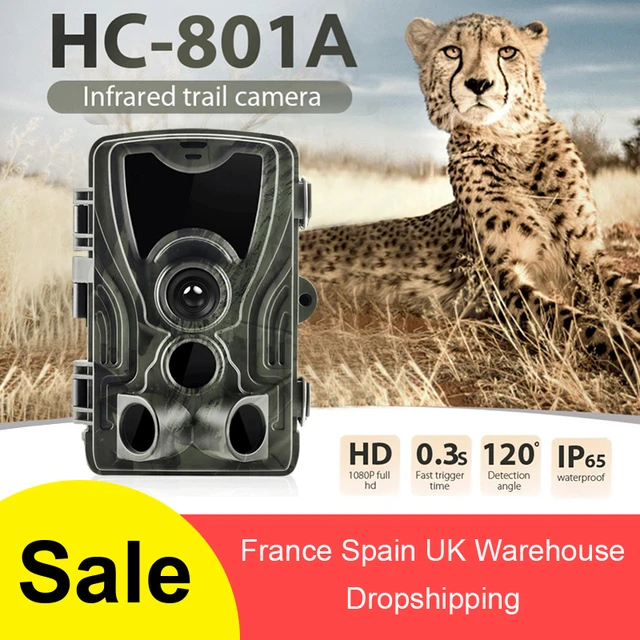 US $25.04 HC801A Hunting Camera 16MP Trail Camera Night Vision Forest Waterproof Wildlife Camera Photo Traps 