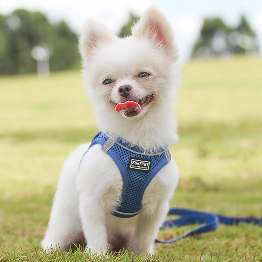 

Reflective Safety Pet Dog Nylon Mesh Harness and Leash Set for Small Medium Dogs Cat Harnesses Vest Puppy Chest Strap S/M/L/XL