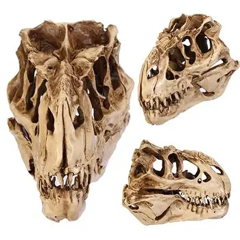 

Resin Dinosaur Skull Fossils Teaching Skeleton Model Halloween Festival Decor
